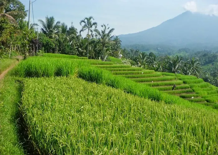 Bed & Breakfast Zen Premium Petitenget Umasari Seminyak